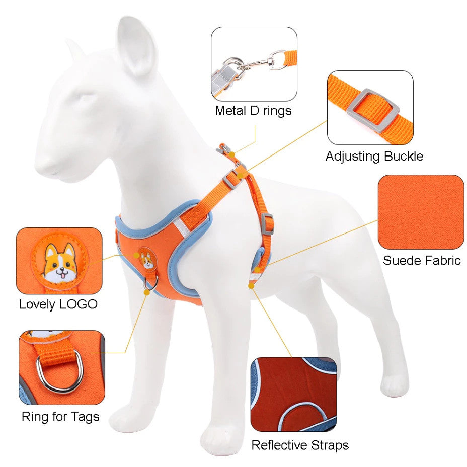 Coleira Peitoral Tipo Colete com Guia – Mais Conforto e Controle para seu Pet