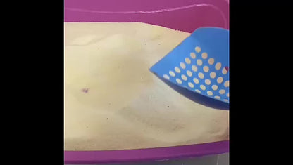 Areia Biodegradável para Gatos 4kg – Mais Higiene e Praticidade no Dia a Dia